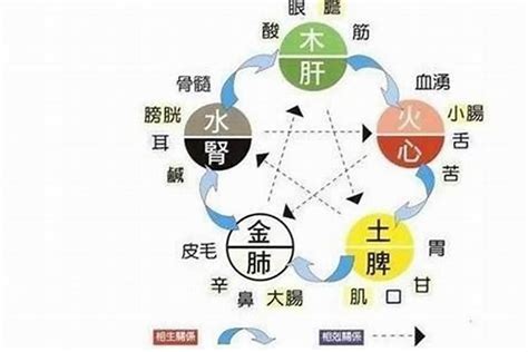 五行缺水ptt|教你兩步算出自己是什么命，五行缺什么！